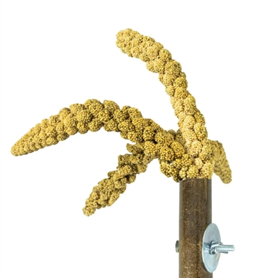 Back Zoo Nature Grass Keeper 20x3 cm voor vogels