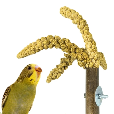 Back Zoo Nature Grass Keeper 20x3 cm voor vogels