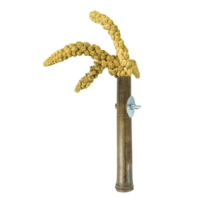 Back Zoo Nature Grass Keeper 20x3 cm voor vogels