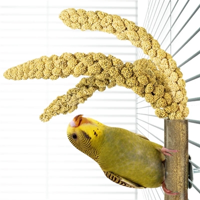 Back Zoo Nature Grass Keeper 20x3 cm voor vogels