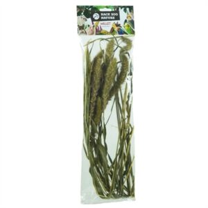 Back Zoo Nature Millet Setaria 30 GR voor vogels en knaagdieren
