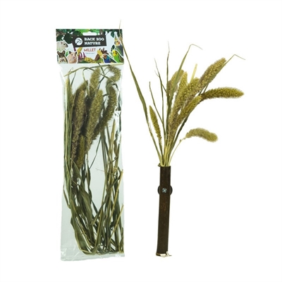 Back Zoo Nature Millet Setaria 30 GR voor vogels en knaagdieren