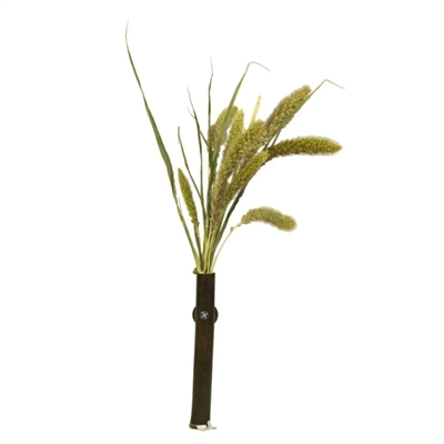 Back Zoo Nature Millet Setaria 30 GR voor vogels en knaagdieren