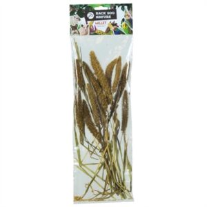 Back Zoo Nature Millet Setaria Italica 50 gr voor vogels en knaagdieren