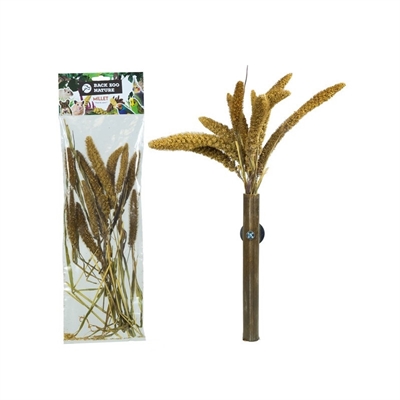 Back Zoo Nature Millet Setaria Italica 50 gr voor vogels en knaagdieren