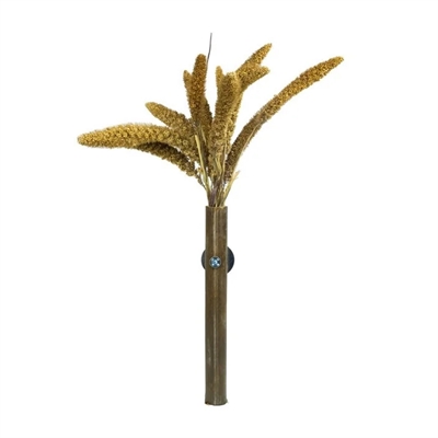 Back Zoo Nature Millet Setaria Italica 50 gr voor vogels en knaagdieren