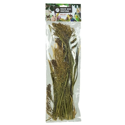 Back Zoo Nature Millet Panicum 40 GR voor vogels en knaagdieren
