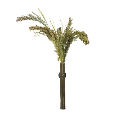 Back Zoo Nature Millet Panicum 40 GR voor vogels en knaagdieren
