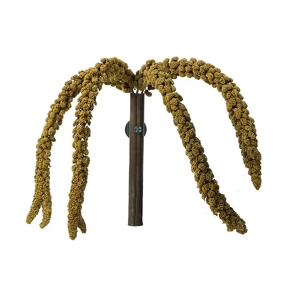 Back Zoo Nature Franse Trosgierst Geel 150 GR voor vogels en knaagdieren