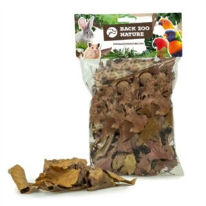 Back Zoo Nature Discovery Leaves Ca. 50 GR