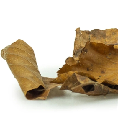 Back Zoo Nature Discovery Leaves 50 gr - Bodembedekking voor dieren