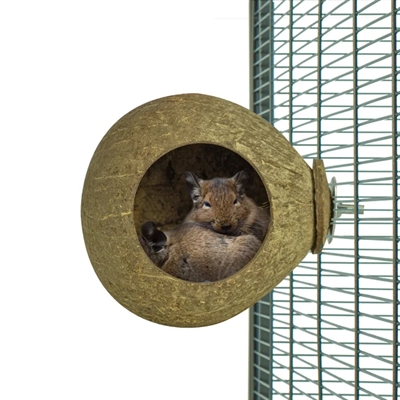 Back Zoo Nature Kokosnoot Huis 9,5 cm voor Kromsnavels en Knaagdieren