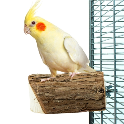Back Zoo Nature Houten Rustplank 10x7,5x3 cm