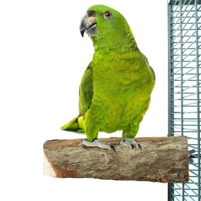 Back Zoo Nature Houten Zitstok 17,5x8,5x4 cm