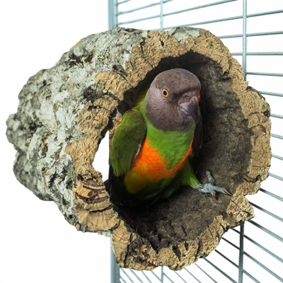 Back Zoo Nature Trunkhut 20x15-20 cm voor vogels
