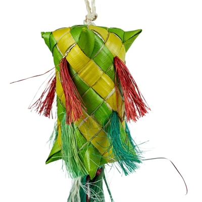 Back Zoo Nature Carnival Pinata 30x5x5 cm vogelspeeltje