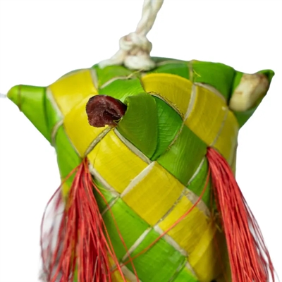 Back Zoo Nature Carnival Pinata 30x5x5 cm vogelspeeltje