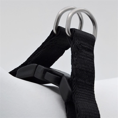 MORSO Mini Hondentuig Verstelbaar Zwart 32-41x2,5 CM