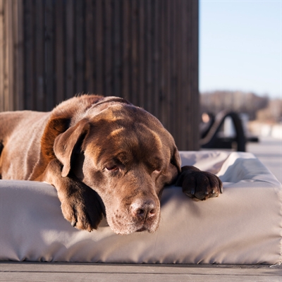 BIA Bia Bed Outdoor Hoes 100x80x15 cm Taupe
