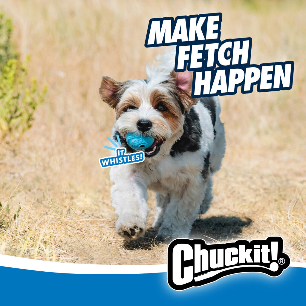Chuckit! The Whistler M (2-pack) - Fluitende speelballen voor honden - afbeelding 5