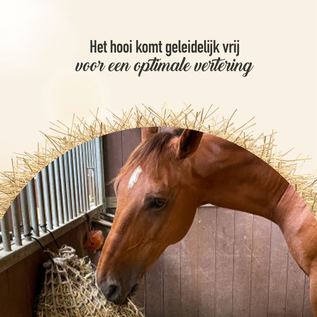 Hay Slow Feeder Net 5 kg (45 mm) - Hooinet voor Paarden - afbeelding 6