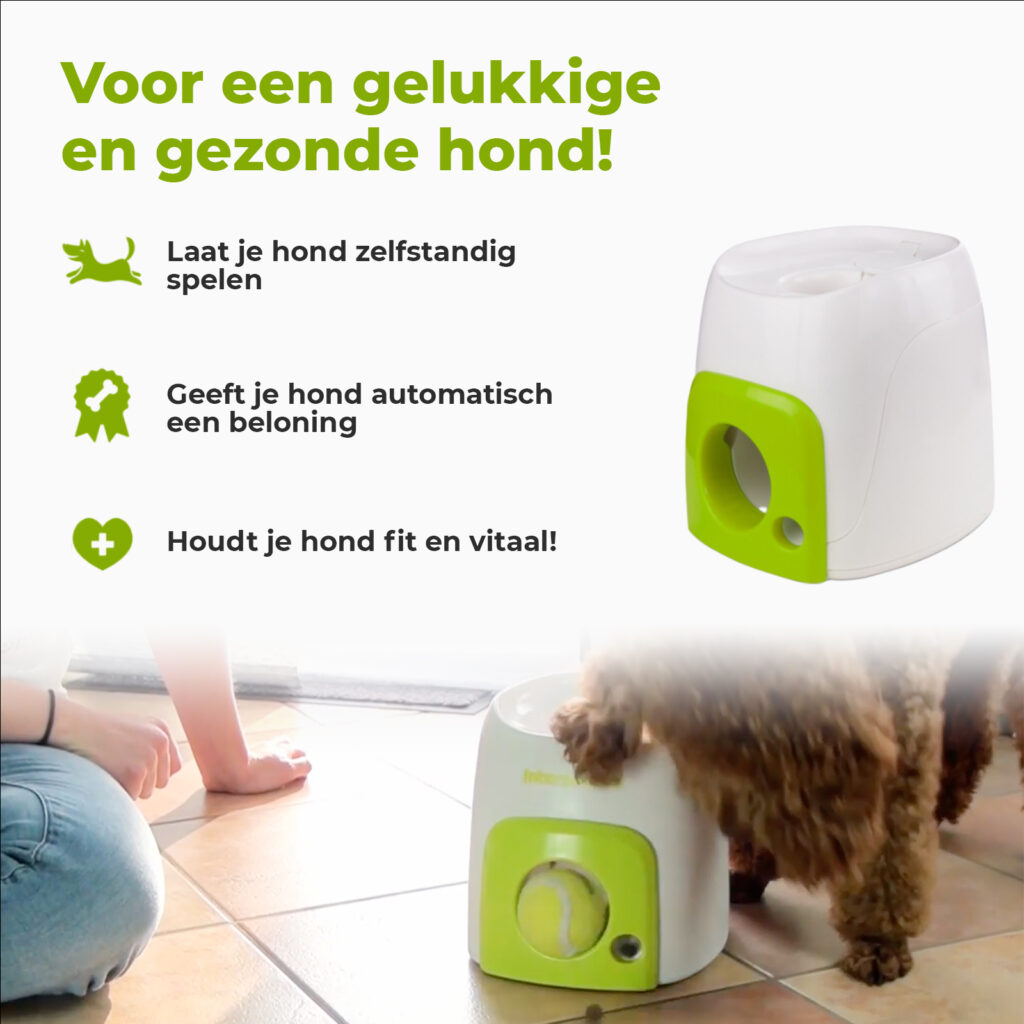 AFP Interactives Fetch'N'Treat Original - Speelgoed voor Honden - afbeelding 4
