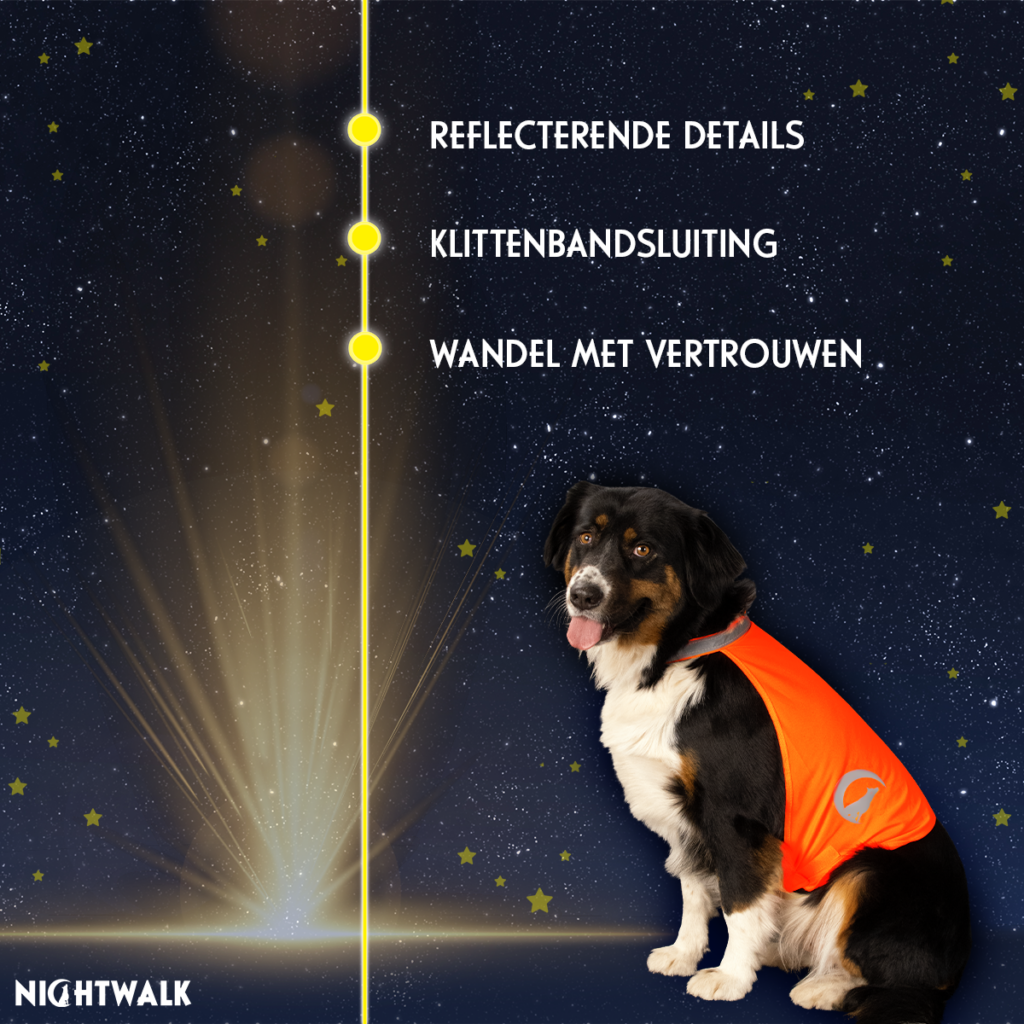 Nightwalk Safety Vest Oranje M - Reflecterend Veiligheidsvest voor Honden - afbeelding 3