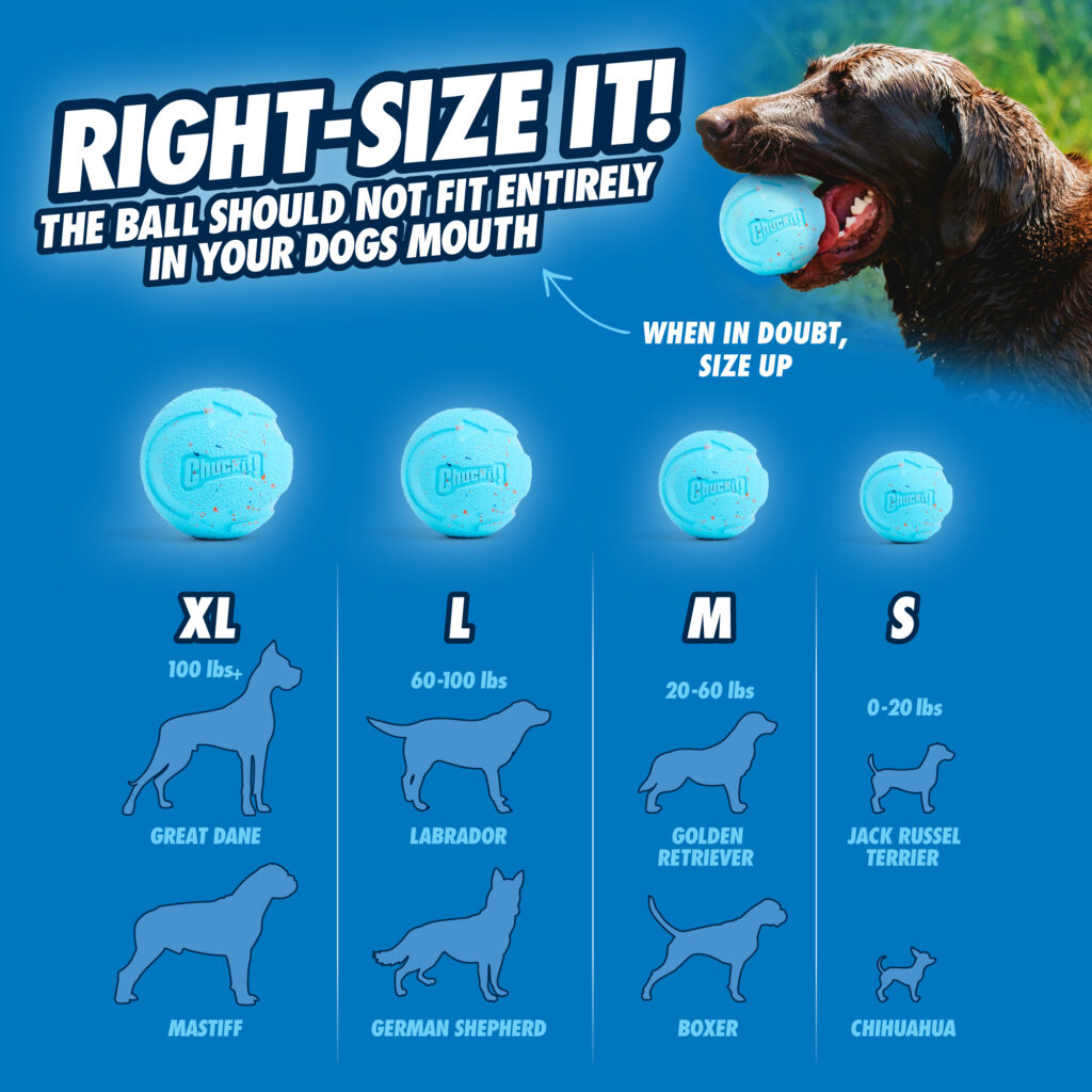 Chuckit! Rebounce Fetch Ball M (2-pack) - Duurzame Apporteerballen - afbeelding 6