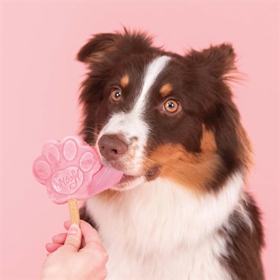 SMOOFL Ijsmix Honden Watermeloen 160 GR