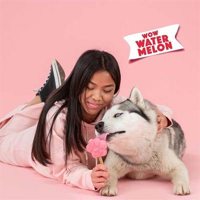 SMOOFL Ijsmix Honden Watermeloen 160 GR