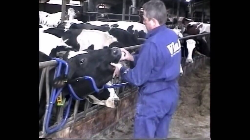 Vink Kopheffer - Voor het gemakkelijk toedienen van orale producten - afbeelding 6