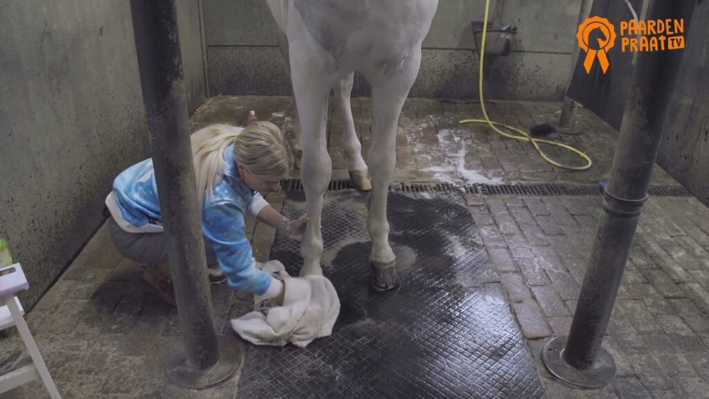 Paardenpraat TV Hoefglansolie 500 ml met tea-tree olie - afbeelding 2