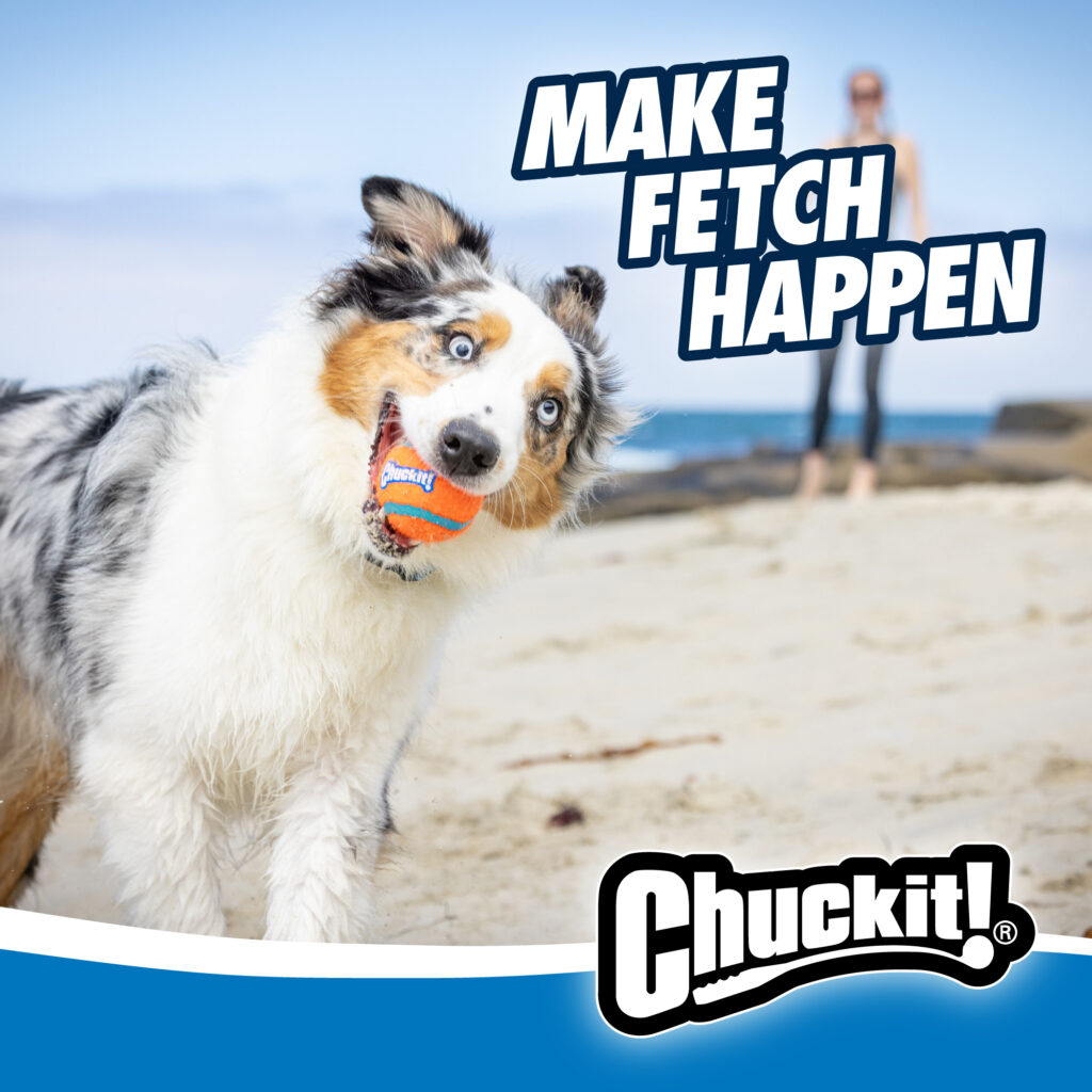 Chuckit! Junior Ball Launcher met bal - 45 cm - afbeelding 6