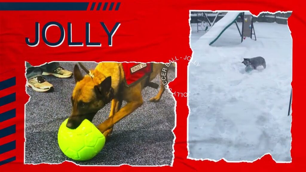 Jolly Soccer Ball Roze S (15 cm) - Duurzaam Speelgoed voor Honden - afbeelding 4