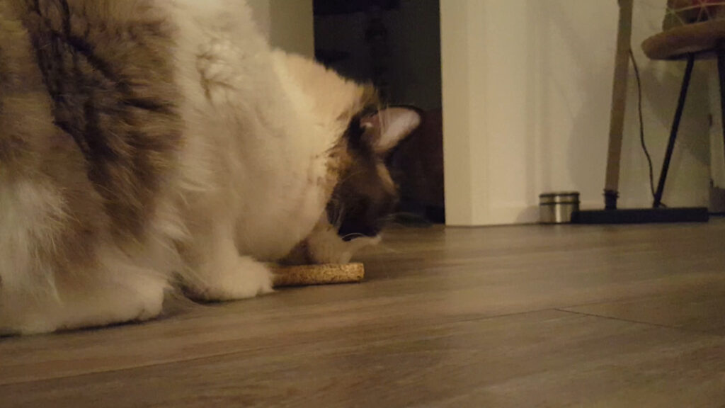 Addicted! Stick (2-Pack) - Kattenspeeltje met MADNIP - afbeelding 4