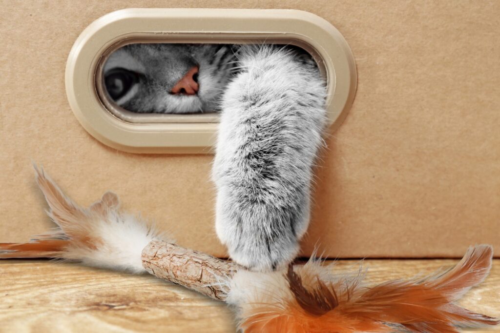 Addicted! Stick met Caterpillar & Feathers - Kattenspeeltje met MADNIP - afbeelding 4
