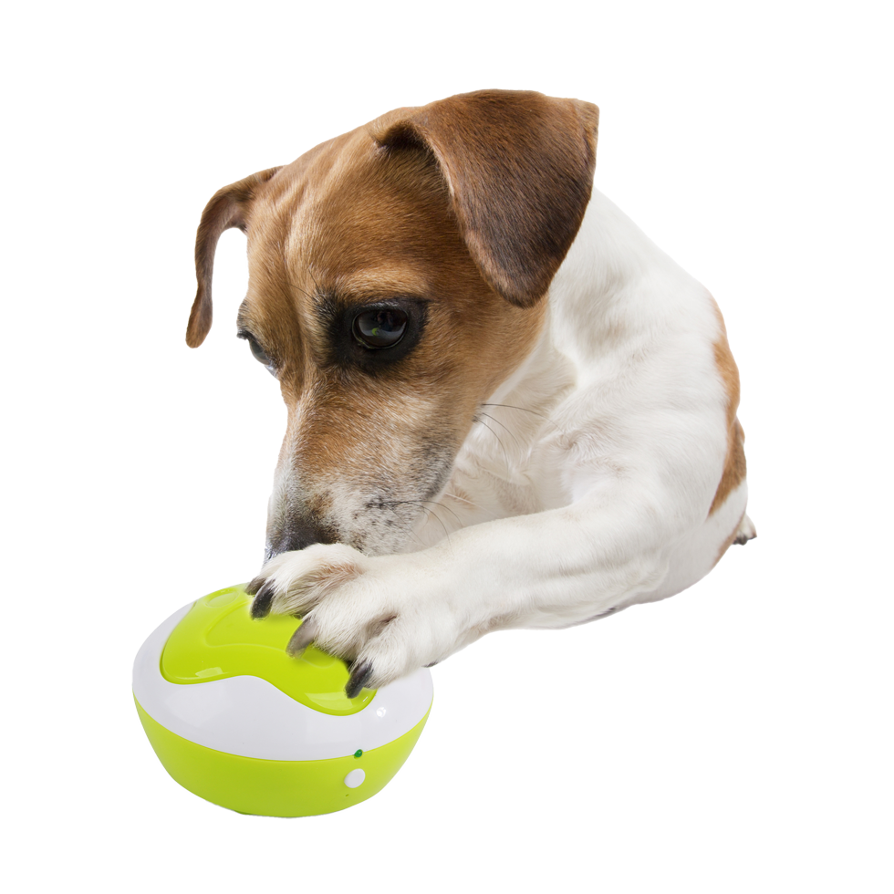 AFP Interactives Dog Interpreter - Interactief Speelgoed voor Honden - afbeelding 2