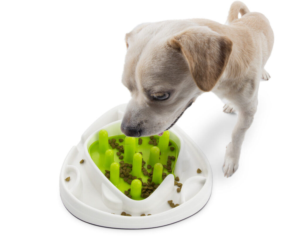 AFP Interactives - Food Maze - Speelgoed voor Honden - afbeelding 5