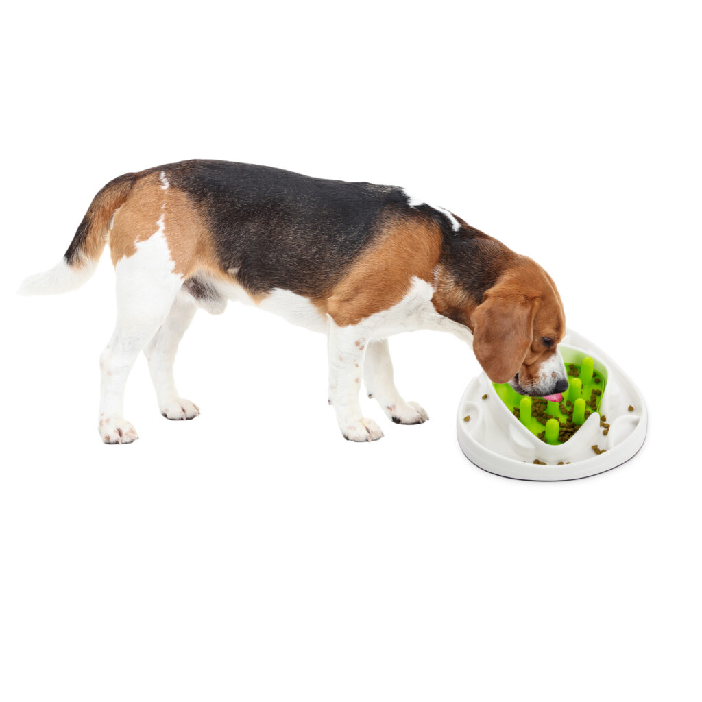 AFP Interactives - Food Maze - Speelgoed voor Honden - afbeelding 2