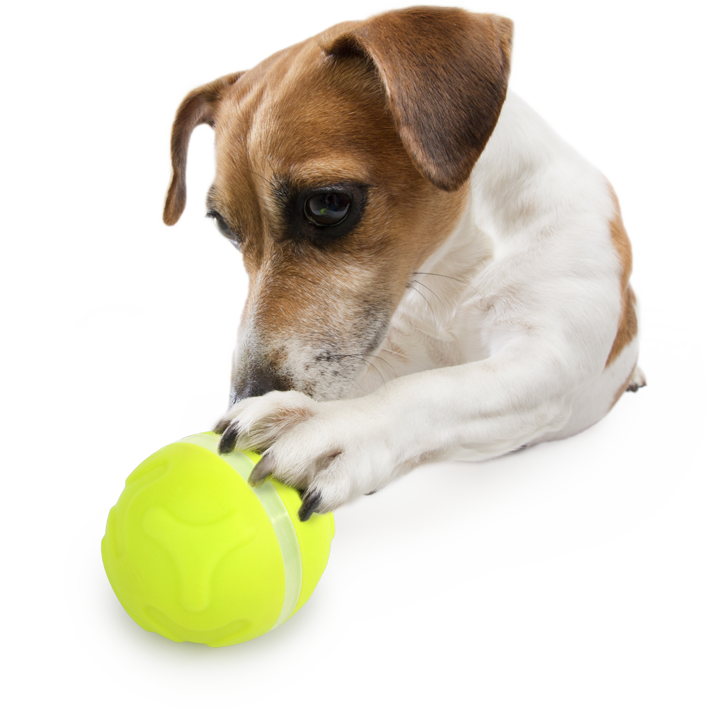 AFP Interactives - Lucky Treat met Rolling Ball - afbeelding 5