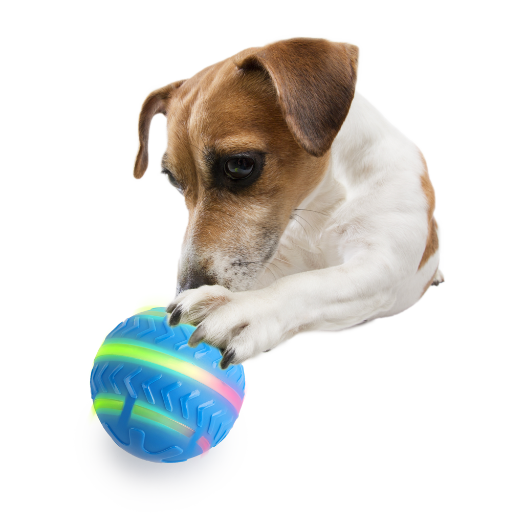 AFP Interactives Motion Activated Action Ball - Speelbal voor Honden - afbeelding 4