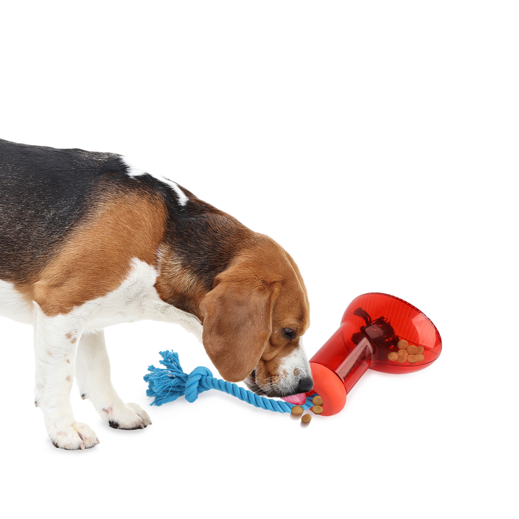 AFP Doggies' Shoes Big Boot Dispenser L - Snackdispenser voor honden - afbeelding 5