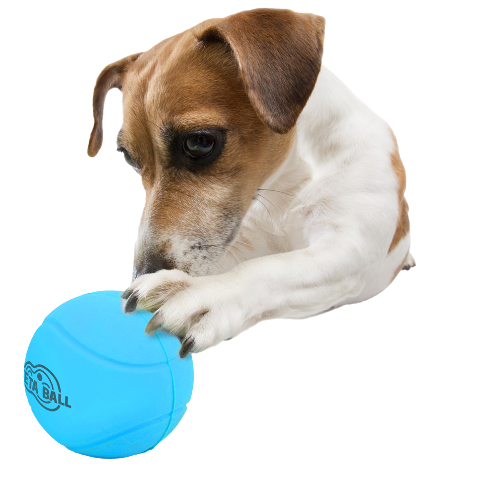 AFP Meta Ball - Bounce & Rattle Ball 6,3 cm - afbeelding 3