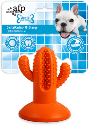 AFP Dental Chews - Dental Cactus M Oranje