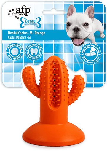 AFP Dental Chews - Dental Cactus M Oranje - afbeelding 1