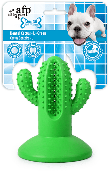 AFP Dental Chews - Dental Cactus L Groen - Speelgoed voor Honden - afbeelding 1