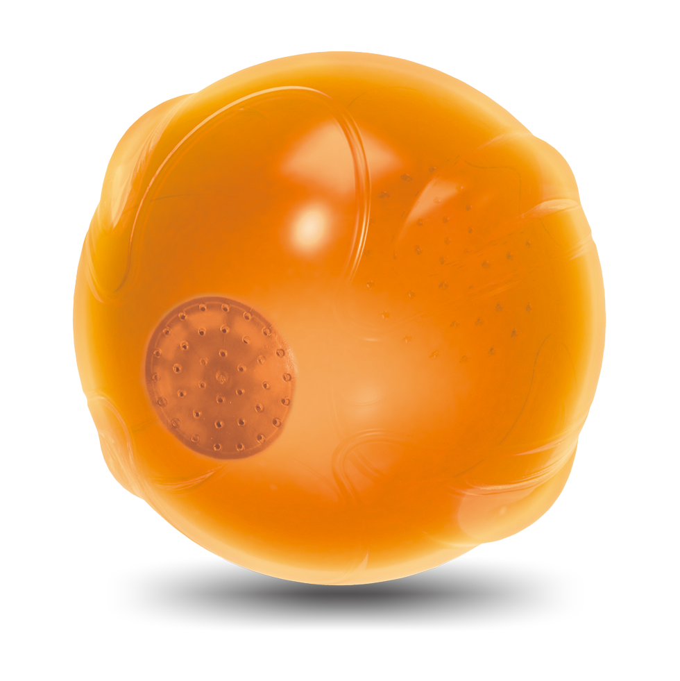 AFP Zen Pet Antistress Spreekbal - Hondenaccessoire - afbeelding 2