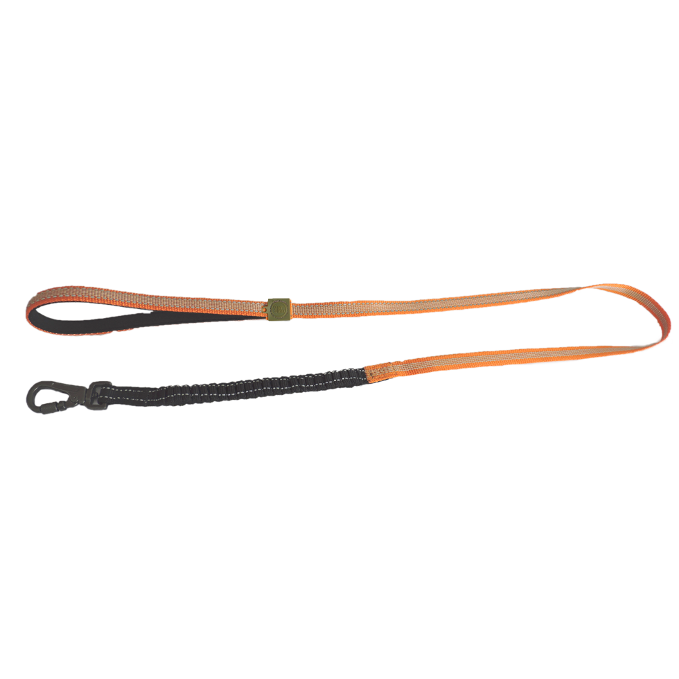 AFP Off Street Dog Leash Mandarijn M - Olijfgroen, 120 x 2 cm - afbeelding 2