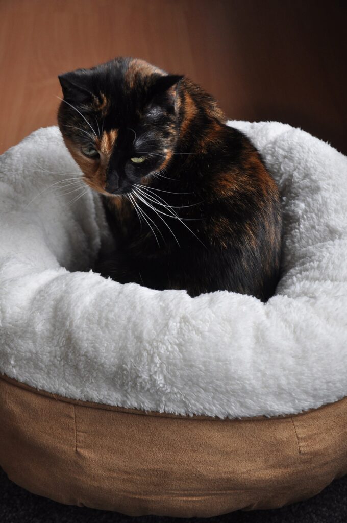 AFP Lambswool Donut Bed Beige voor Katten en Kleine Honden - afbeelding 3