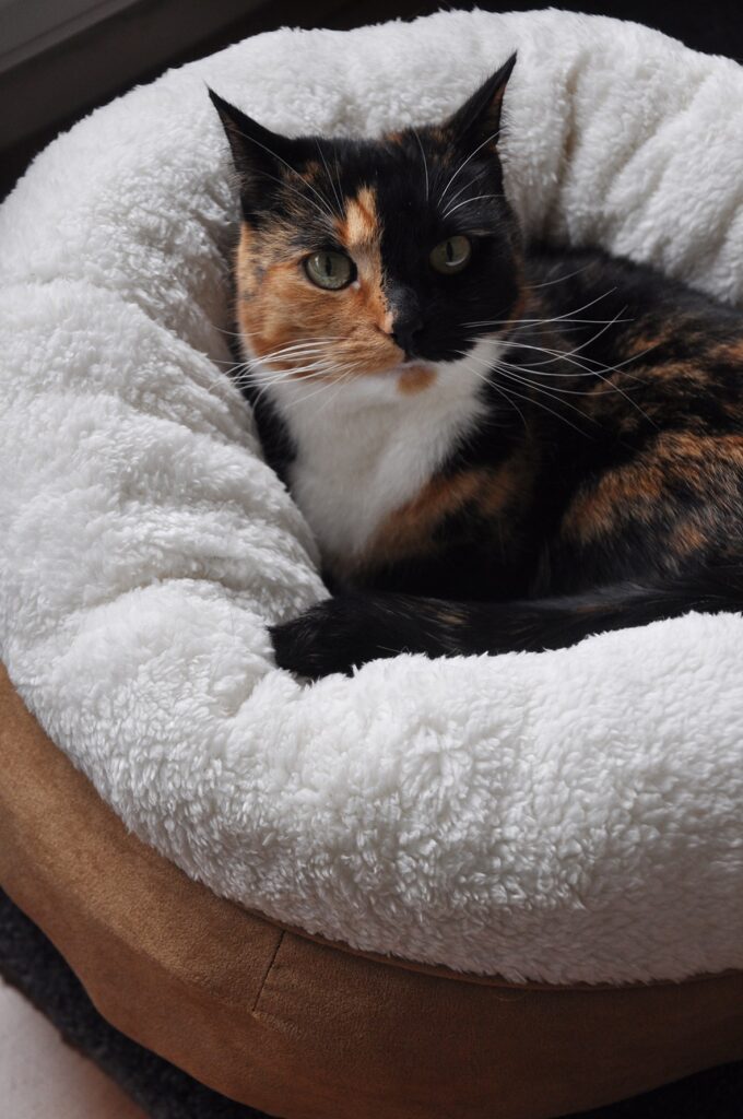AFP Lambswool Donut Bed Beige voor Katten en Kleine Honden - afbeelding 2
